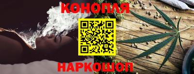 Альфа ПВП Северобайкальск