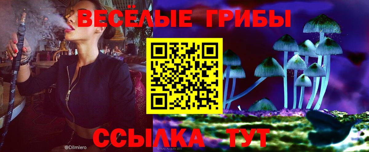 Псилоцибиновые грибы MAGIC MUSHROOMS Новошахтинск