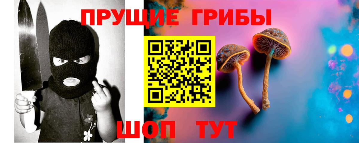 Псилоцибиновые грибы MAGIC MUSHROOMS  Вход с VPN  закладка  Новошахтинск 